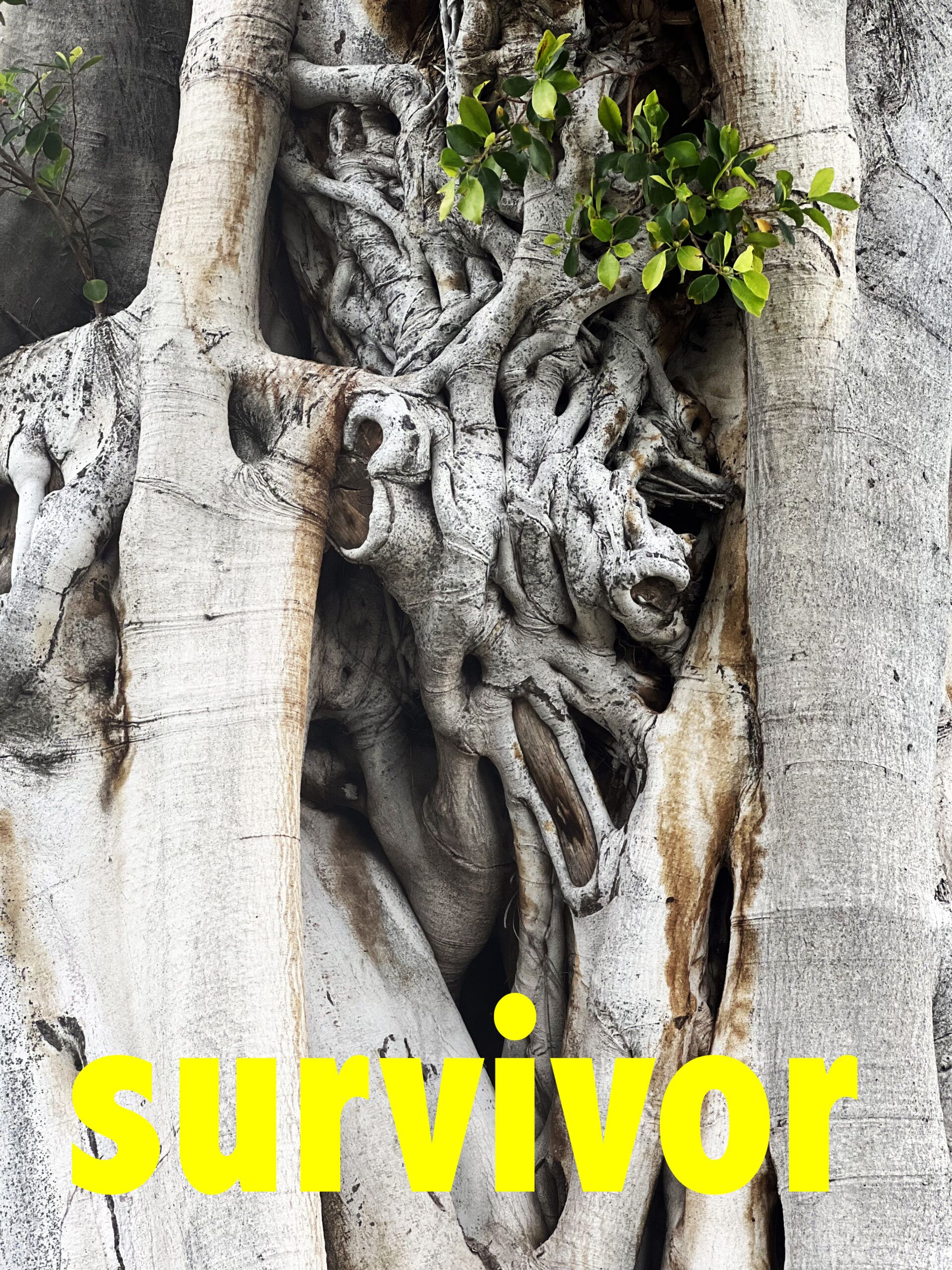 Greeting Card SURVIVOR with Envelope - Image 2