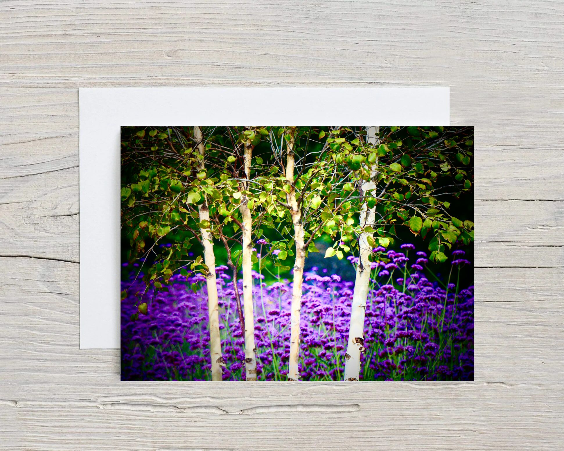 Greeting Card VERBENA & BIRCH with Envelope
