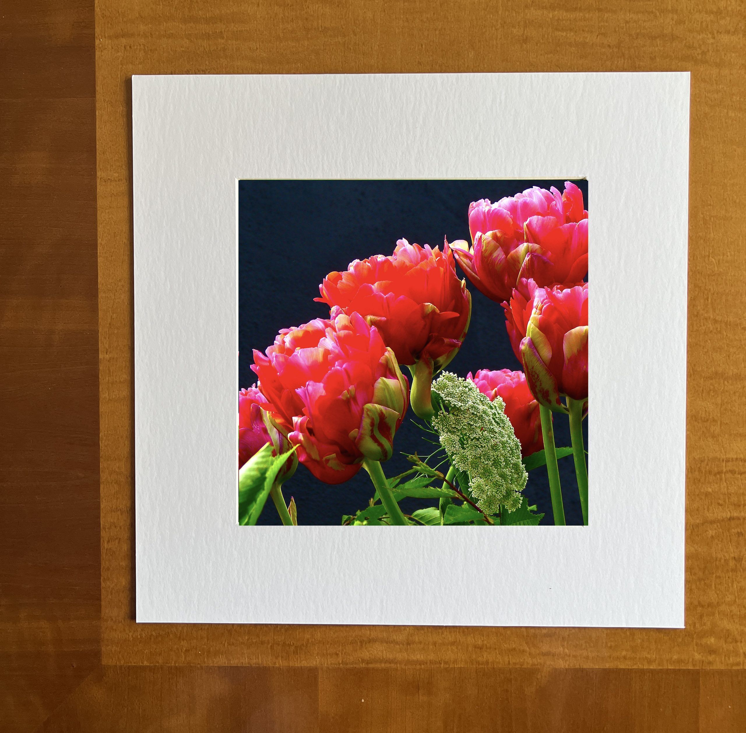 Greeting Card RED TULIP ON BLACK with Envelope - Image 3